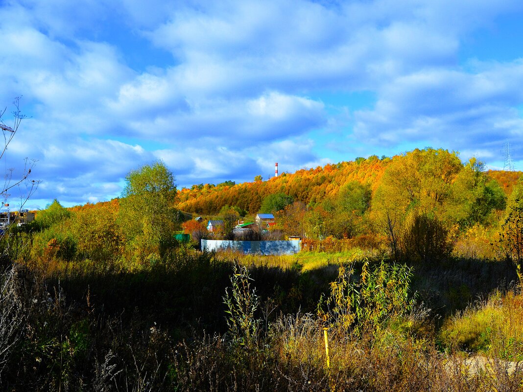 Чебоксары. Лес Волжского лесничества осенью. - Пётр Чернега Чебоксары. Лес Волжского лесничества осенью. - Пётр Чернега