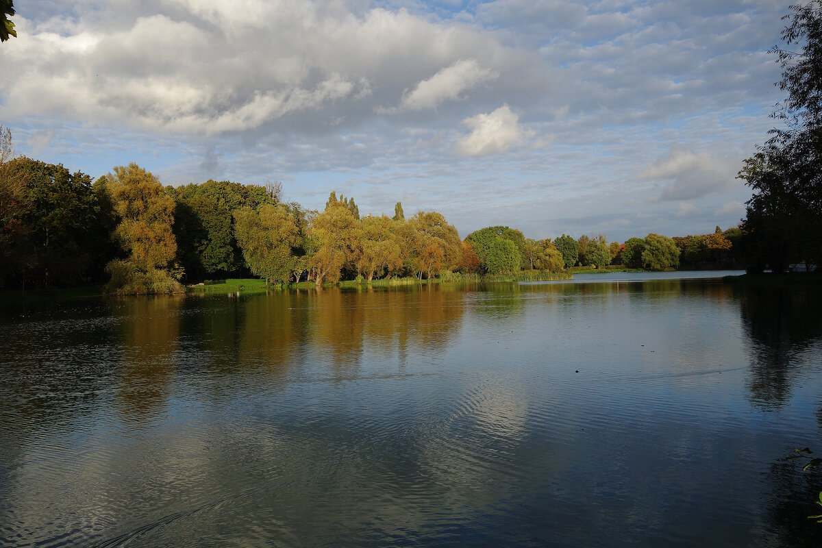 Вечерние зарисовки - Рита Симонова Вечерние зарисовки - Рита Симонова
