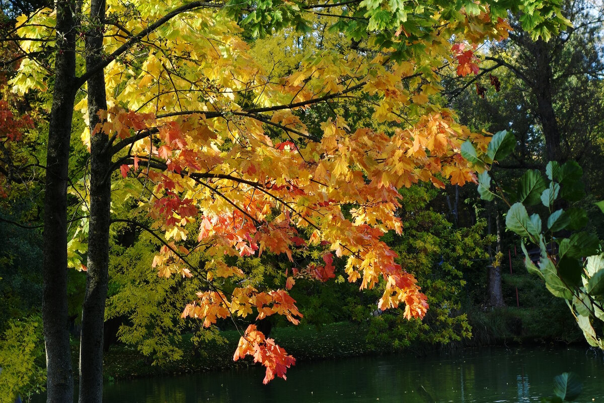 Вечерние зарисовки - Рита Симонова