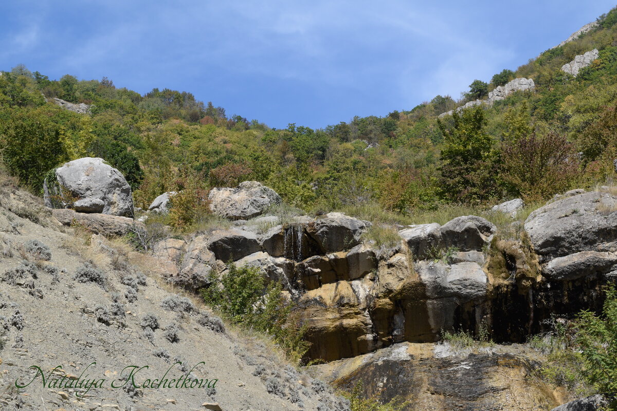 Природа Крыма - Amazing Cosmea