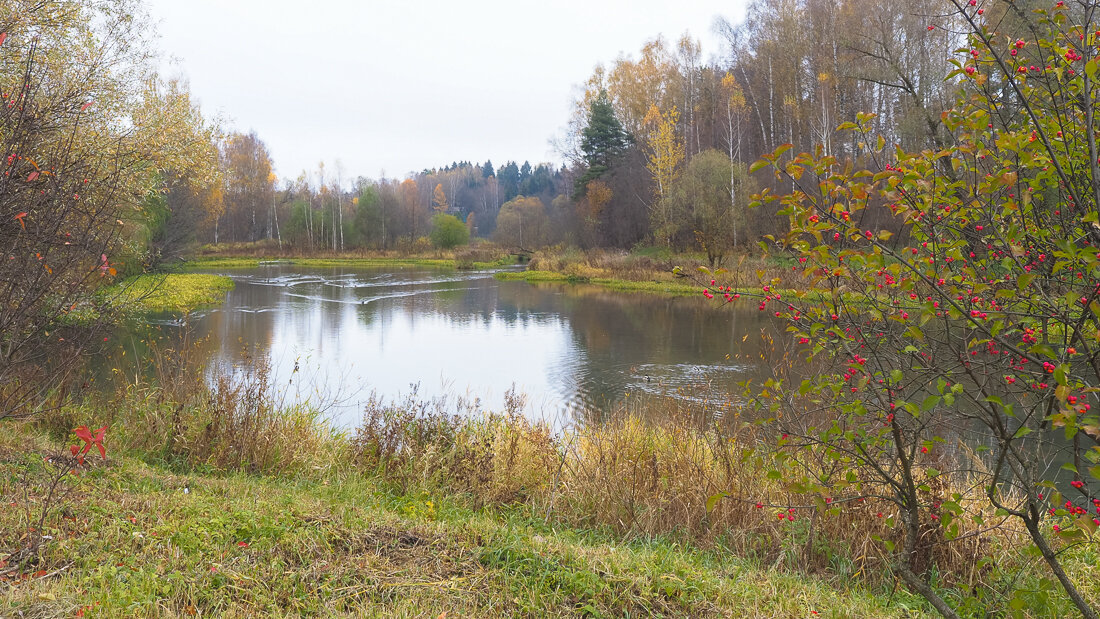 Подмосковные Пейзажи - юрий поляков