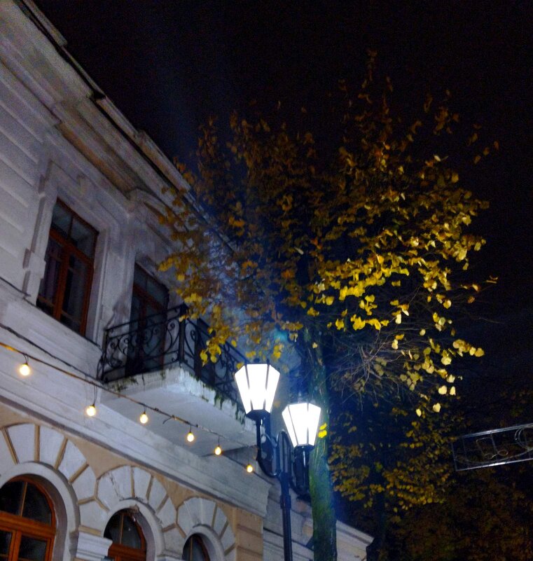 Вечерний Витебск - Галина Бобкина