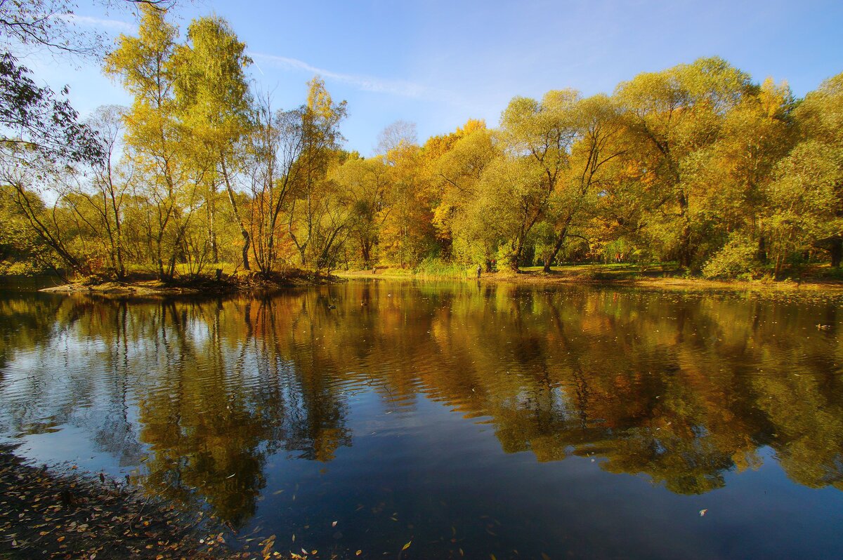 Осень на Радужном пруду - Наталья Лакомова