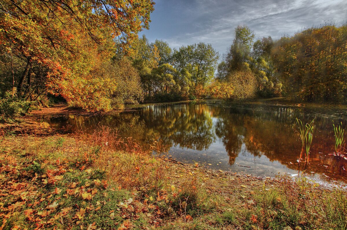 Краски октября - Наталья Лакомова