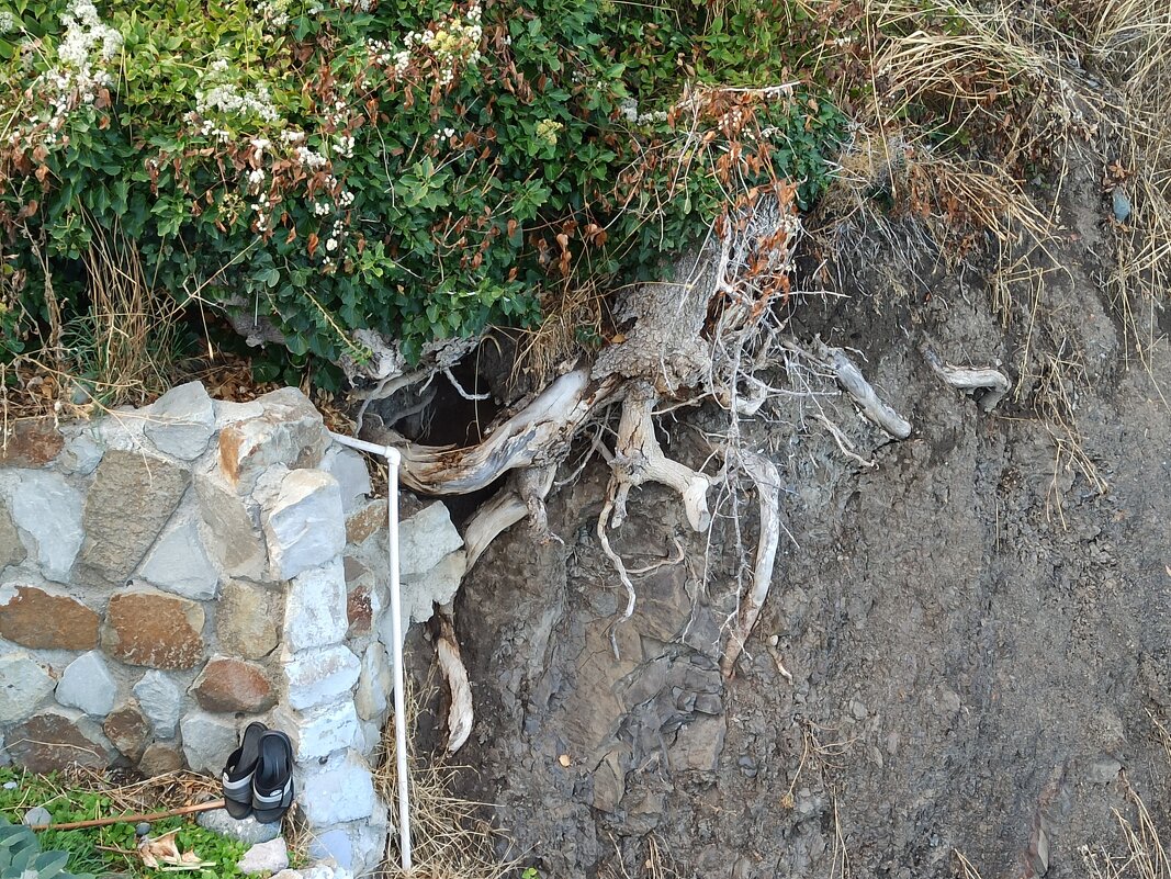 ... пляжный - Галина 