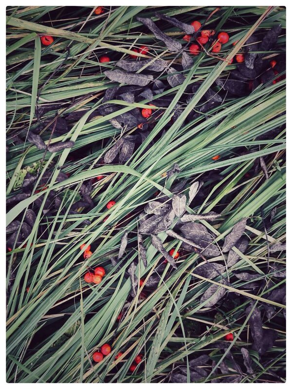 *** - someone somewere