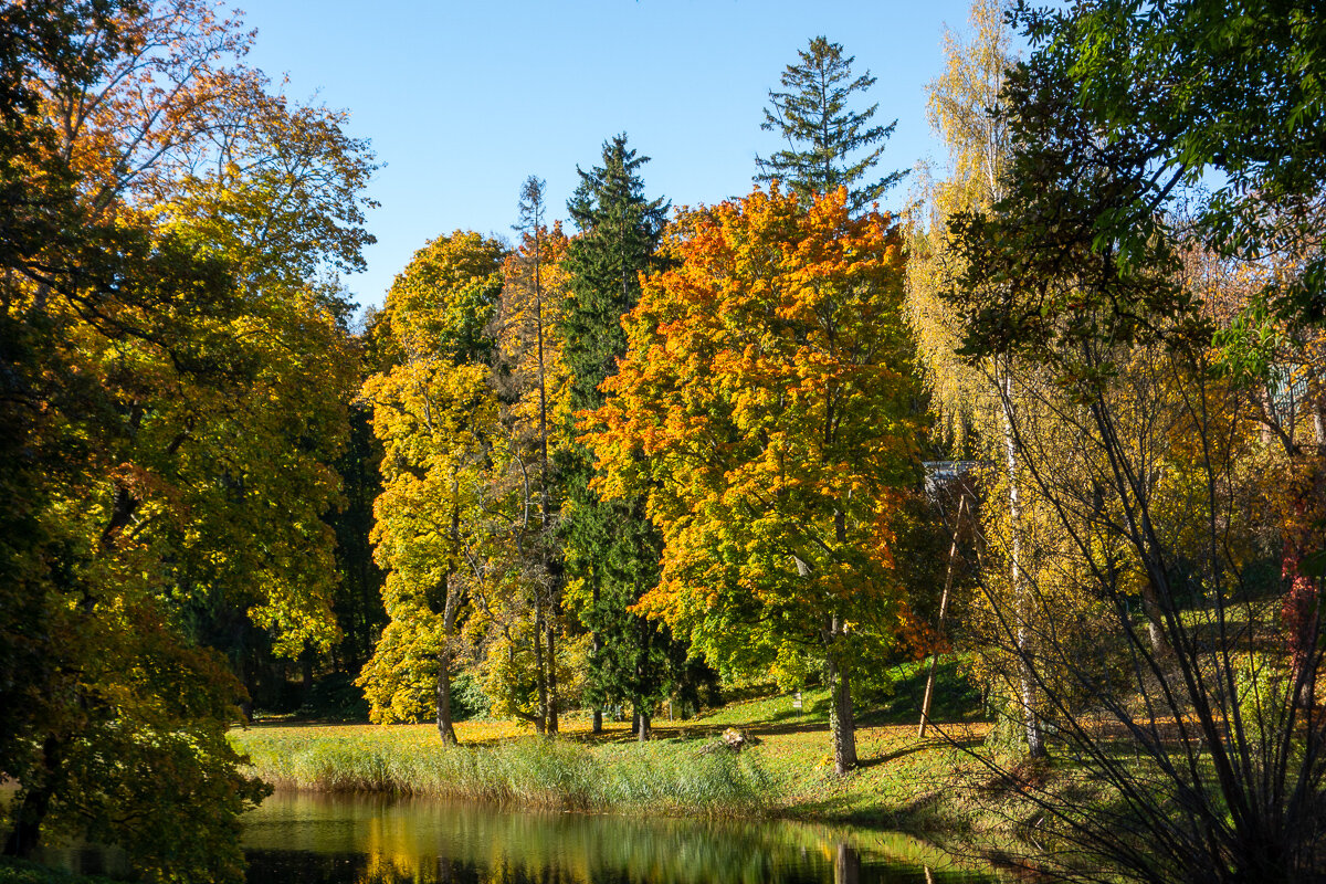 *** - Геннадий Порохов
