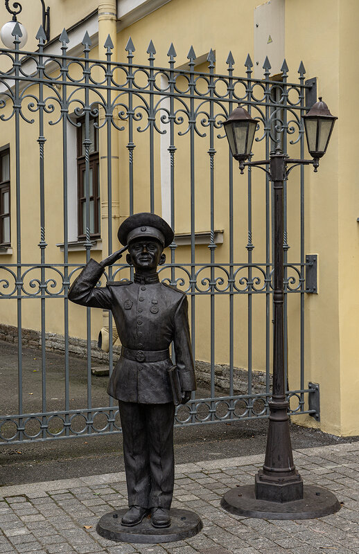 Суворовец - Ирина Соловьёва