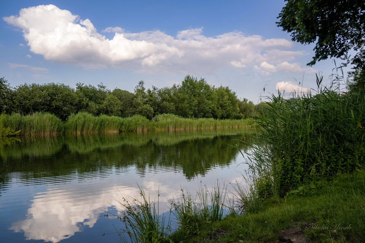 *** - Николай Гирш