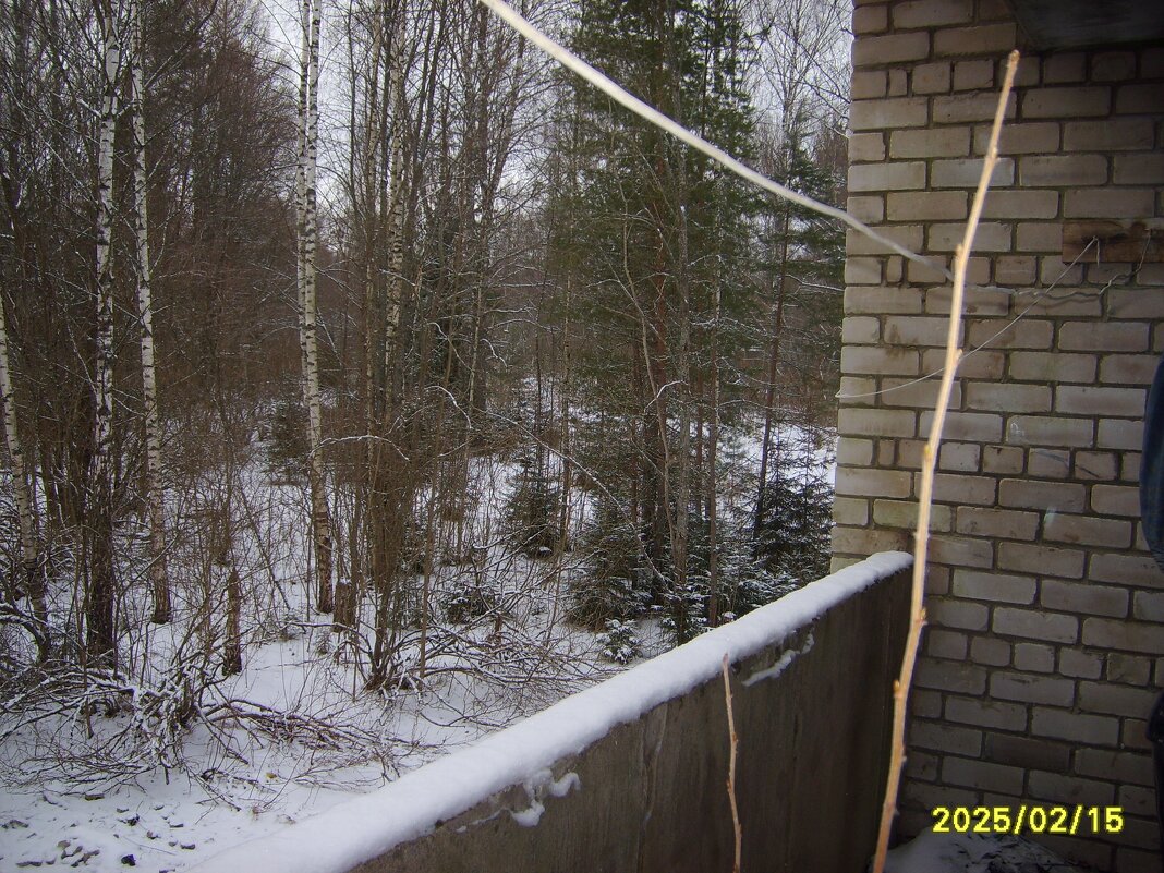 заброшка - fogmeadowww m