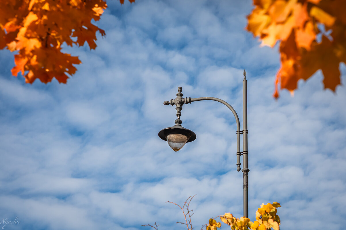 Осень. Небо. Фонарь) - Nyusha . Осень. Небо. Фонарь) - Nyusha .