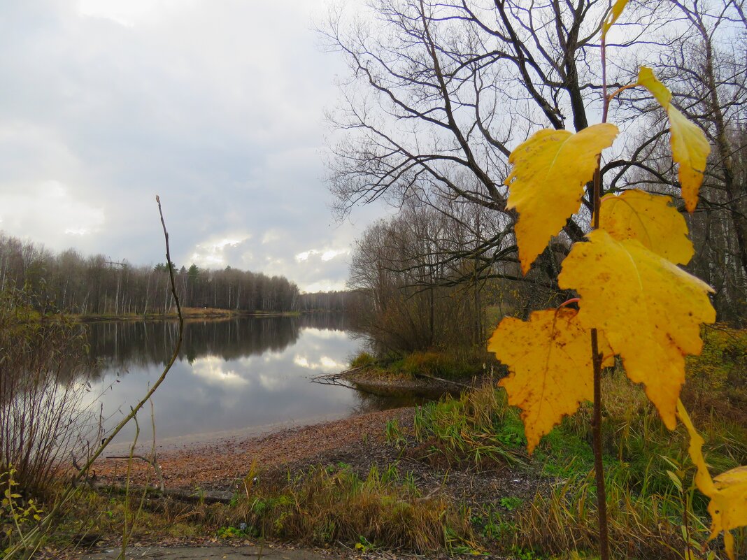 октябрь - НАТАЛЬЯ 