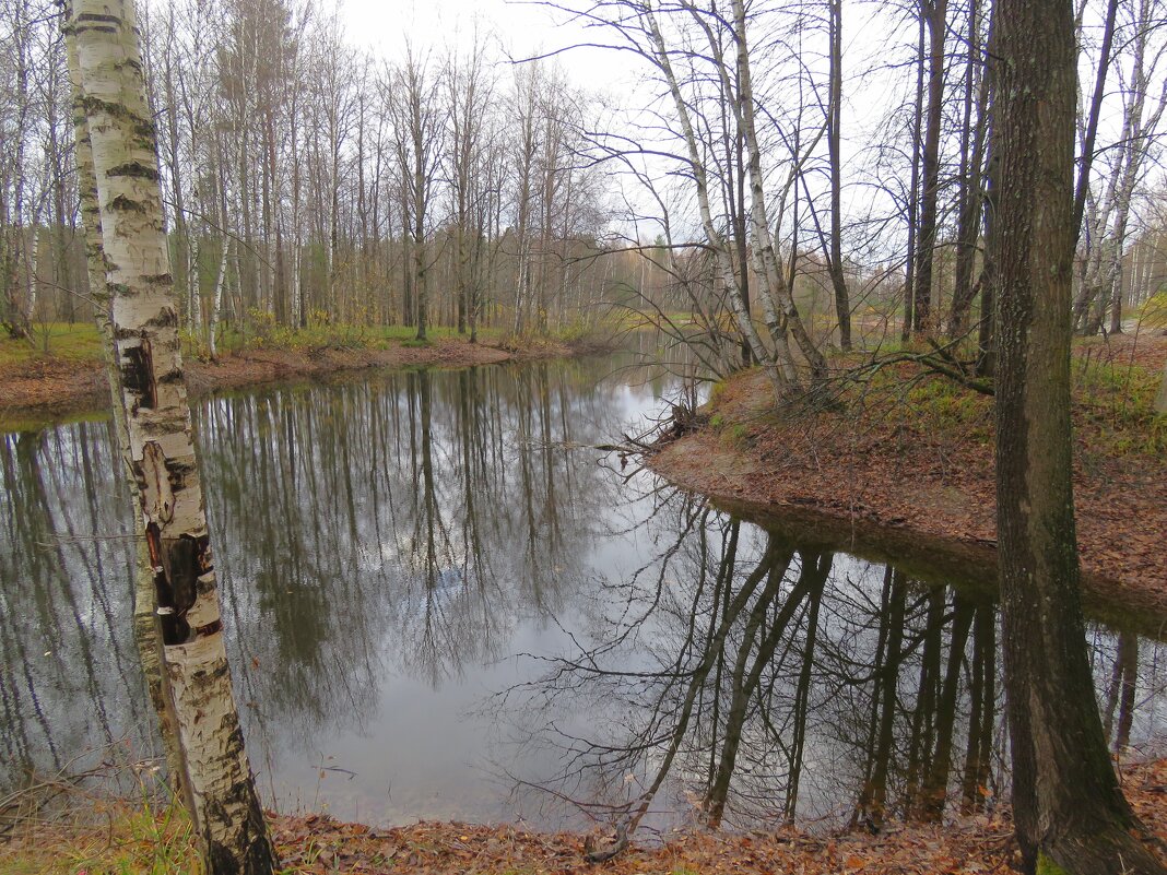 *** - НАТАЛЬЯ 