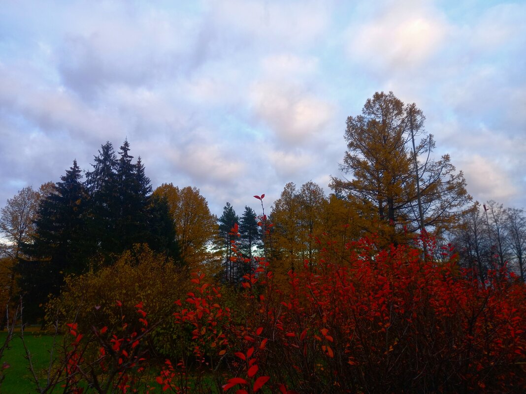 Закат - Сапсан 