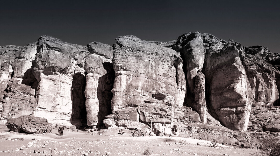 Морда лица - Виталий Авакян