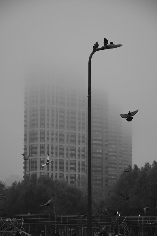 Полёт птицы в тумане - Мария Яковлева