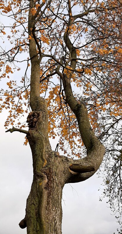 Шлиссельбург - Наталья Герасимова