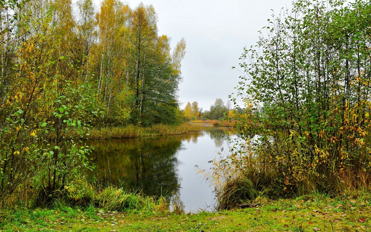 Смоленская осень в октябре (репортаж из поездок по области). - Милешкин Владимир Алексеевич 