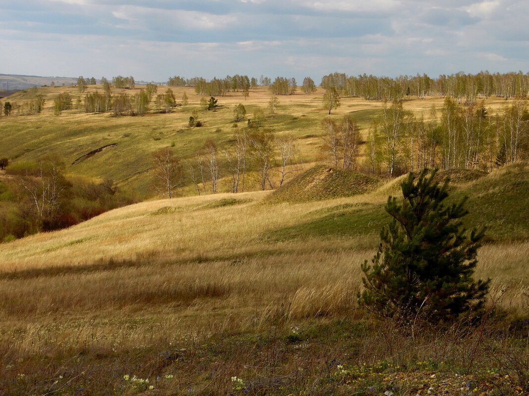 Сибирский простор. - nadyasilyuk Вознюк Сибирский простор. - nadyasilyuk Вознюк