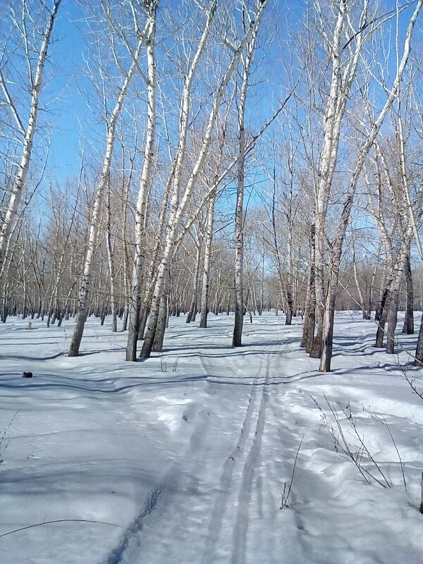 Зима - Георгиевич Зима - Георгиевич