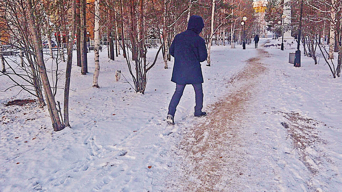 Октябрь...С песиком по первому снегу! - Владимир 