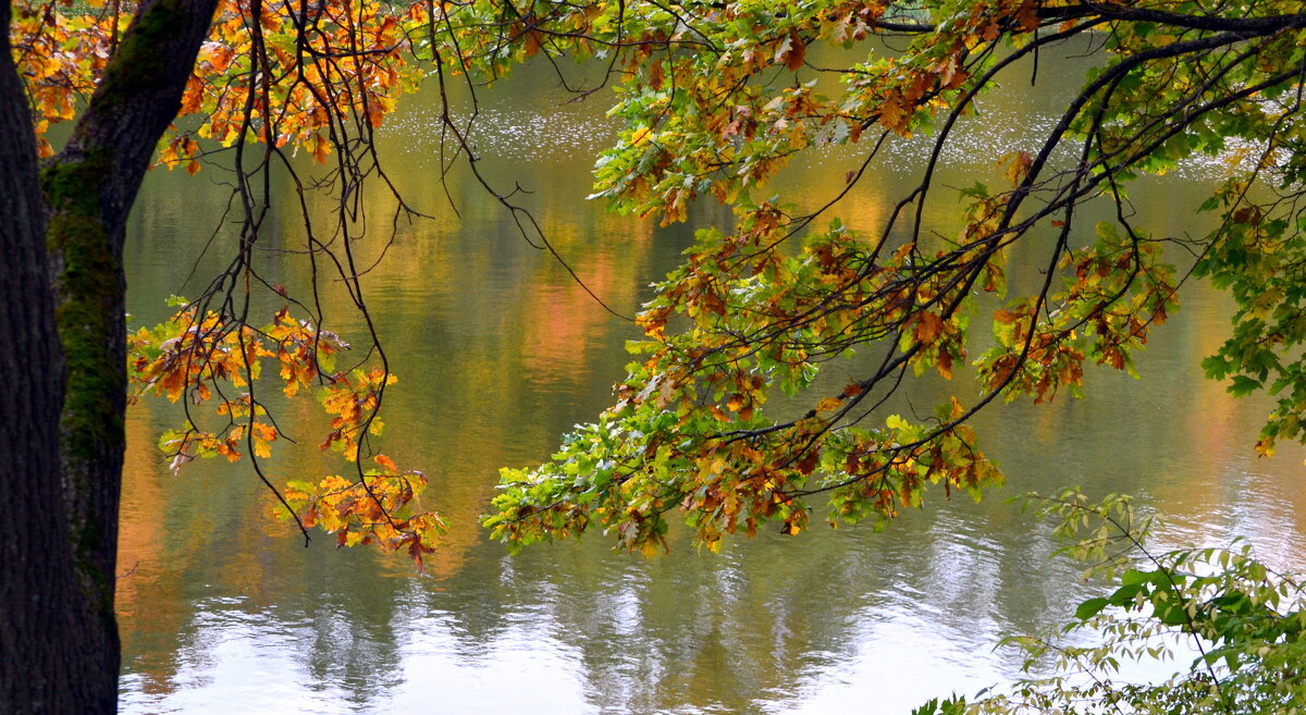 Осень и река.2 - ирина 