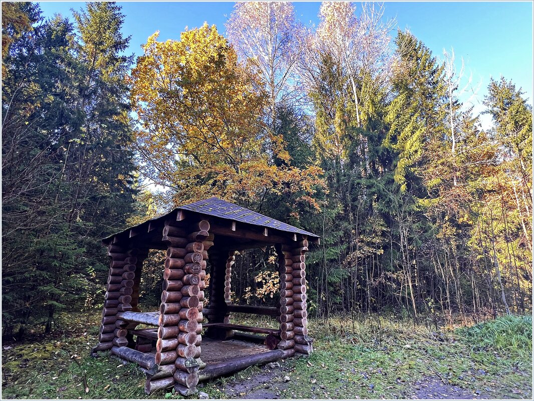 Лесная беседка. - Валерия Комова