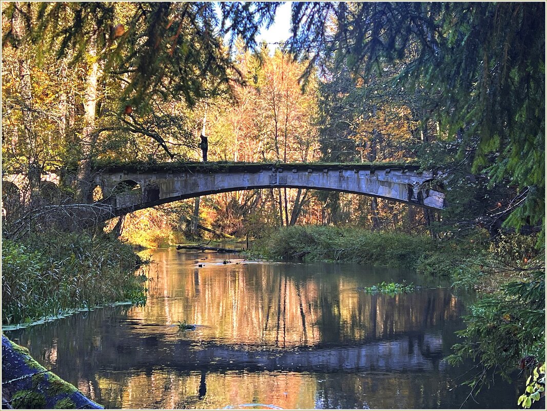 Мост через реку Красная. - Валерия Комова