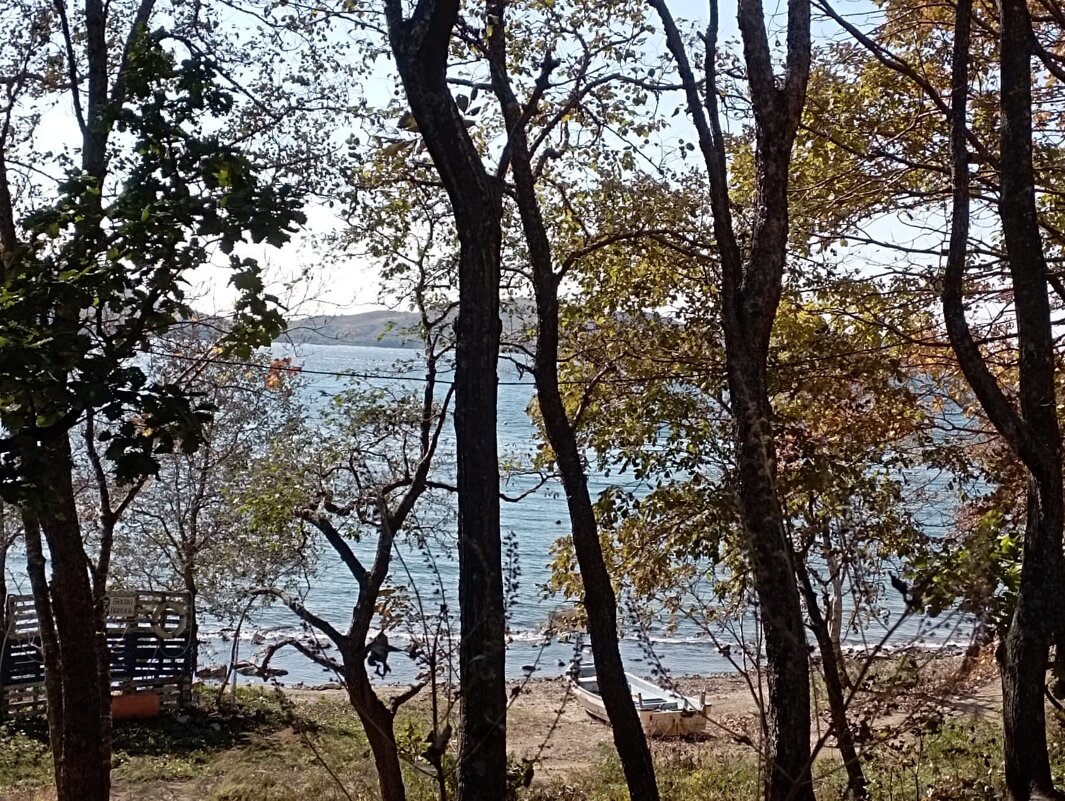 Природа Владивостока - Елена Семигина