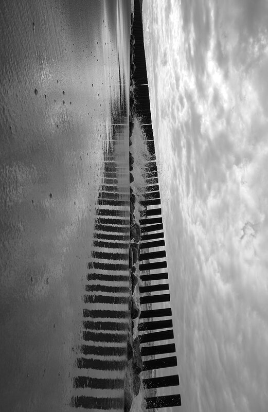 Уходящая ввысь - Лариса Корж