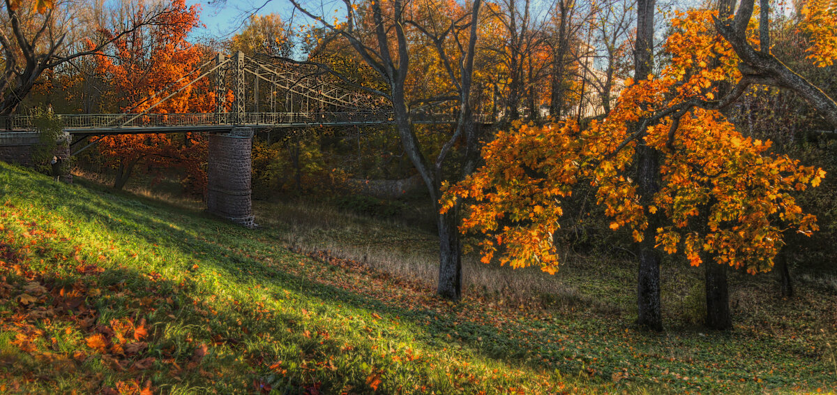 *** - Сергей Григорьев