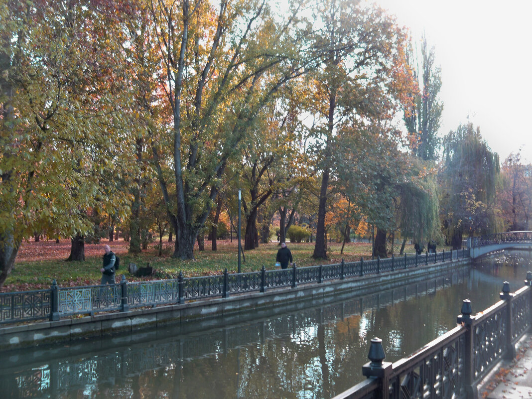 Осень  золотая - Валентин Семчишин