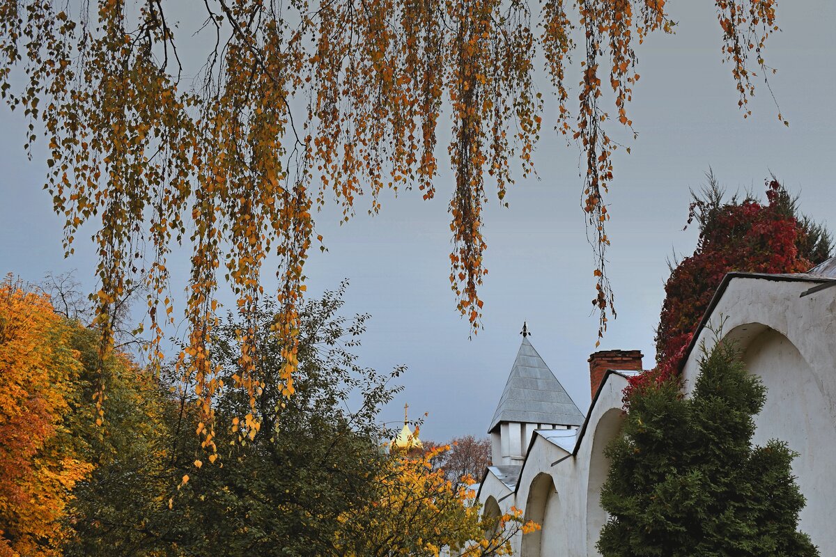 У стен монастыря. - Татьяна Помогалова