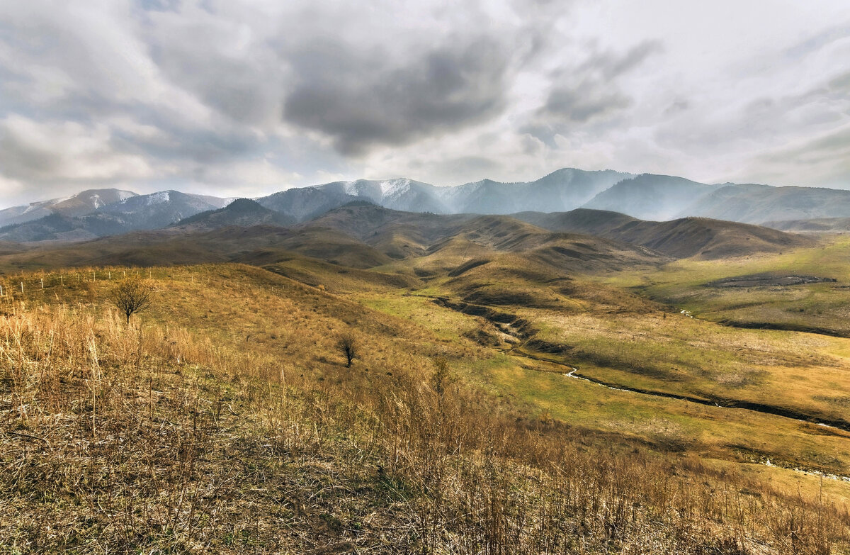 Пастбища пустеют... - LudMila 