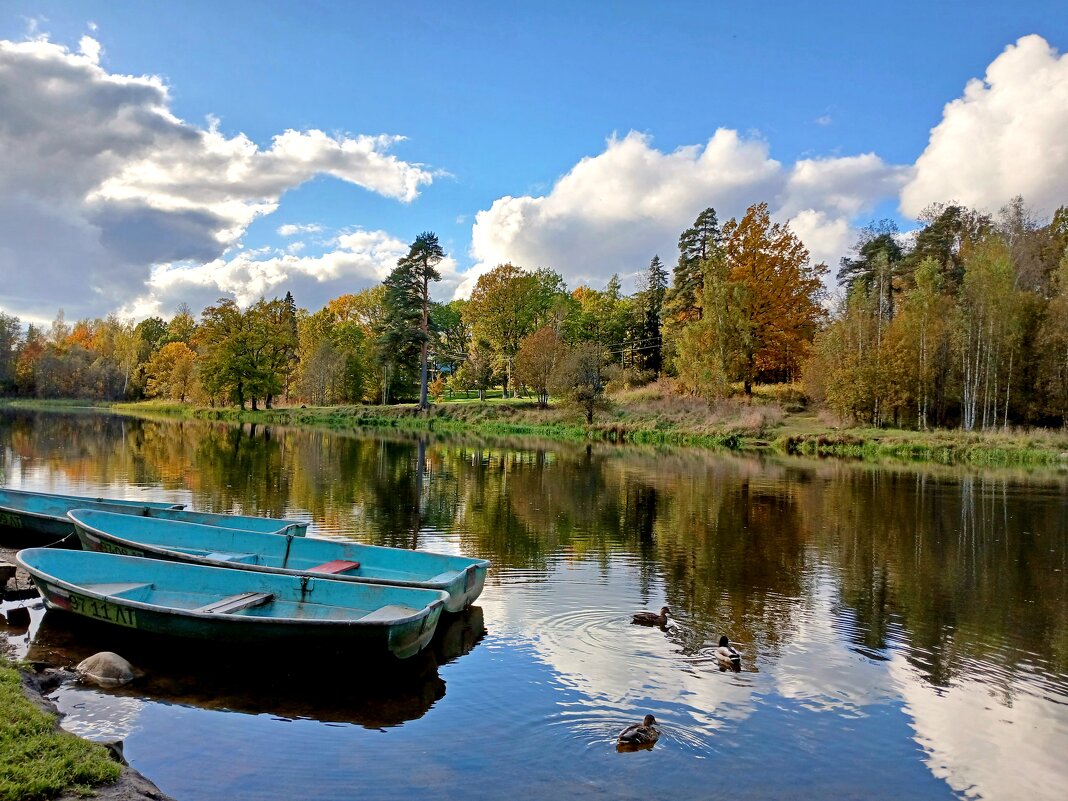 Оредеж. - Лия ☼