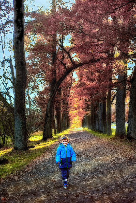 ... - ВЛАДИМИР 