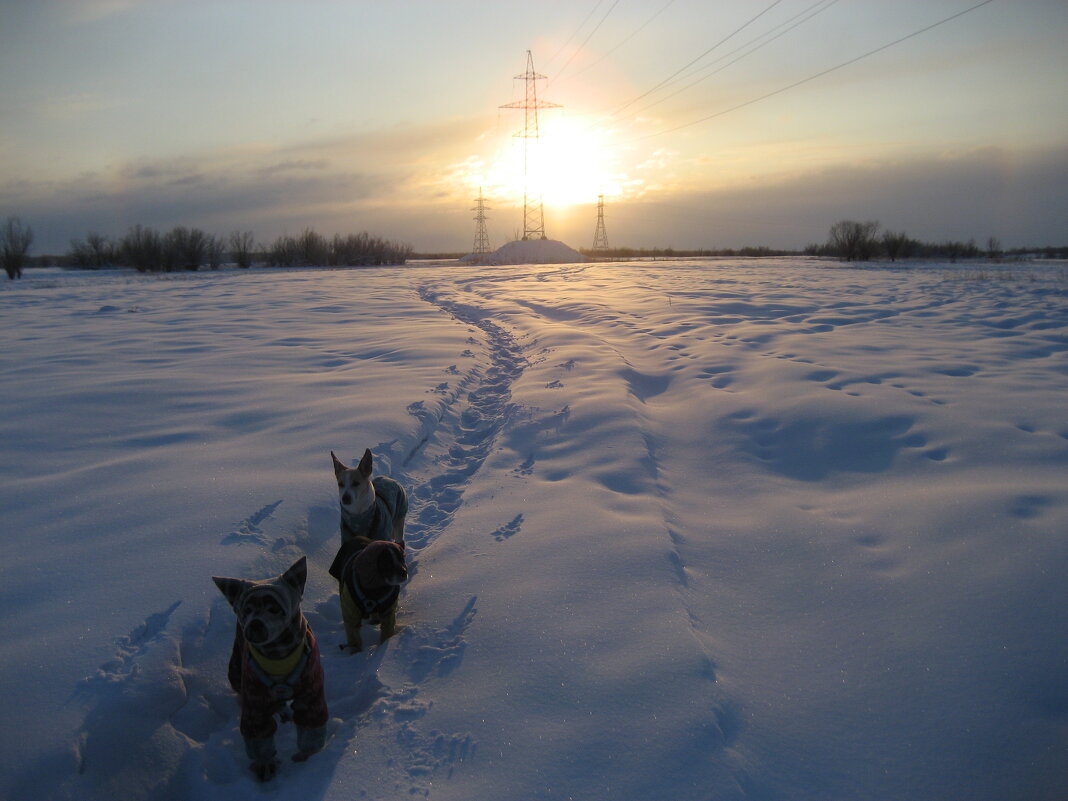 Зима - Anna Ivanova Зима - Anna Ivanova