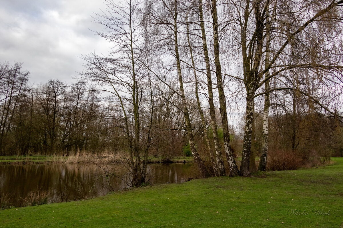 В марте... - Николай Гирш