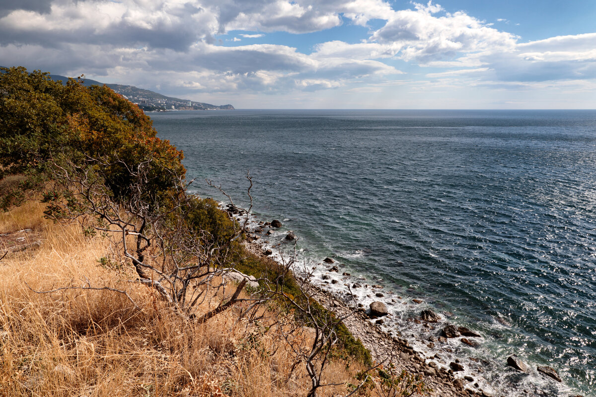 Красота - Oleg S