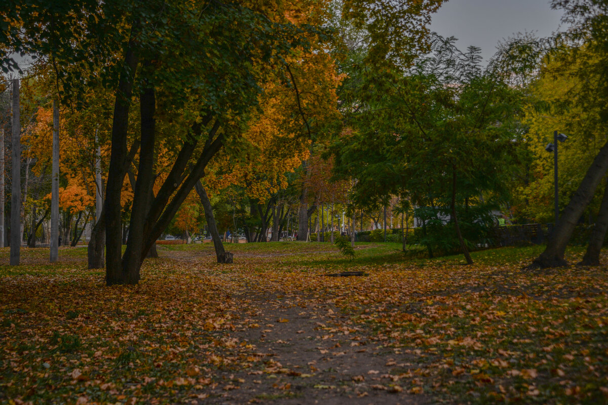 Осенняя пора - Евгений Осенняя пора - Евгений