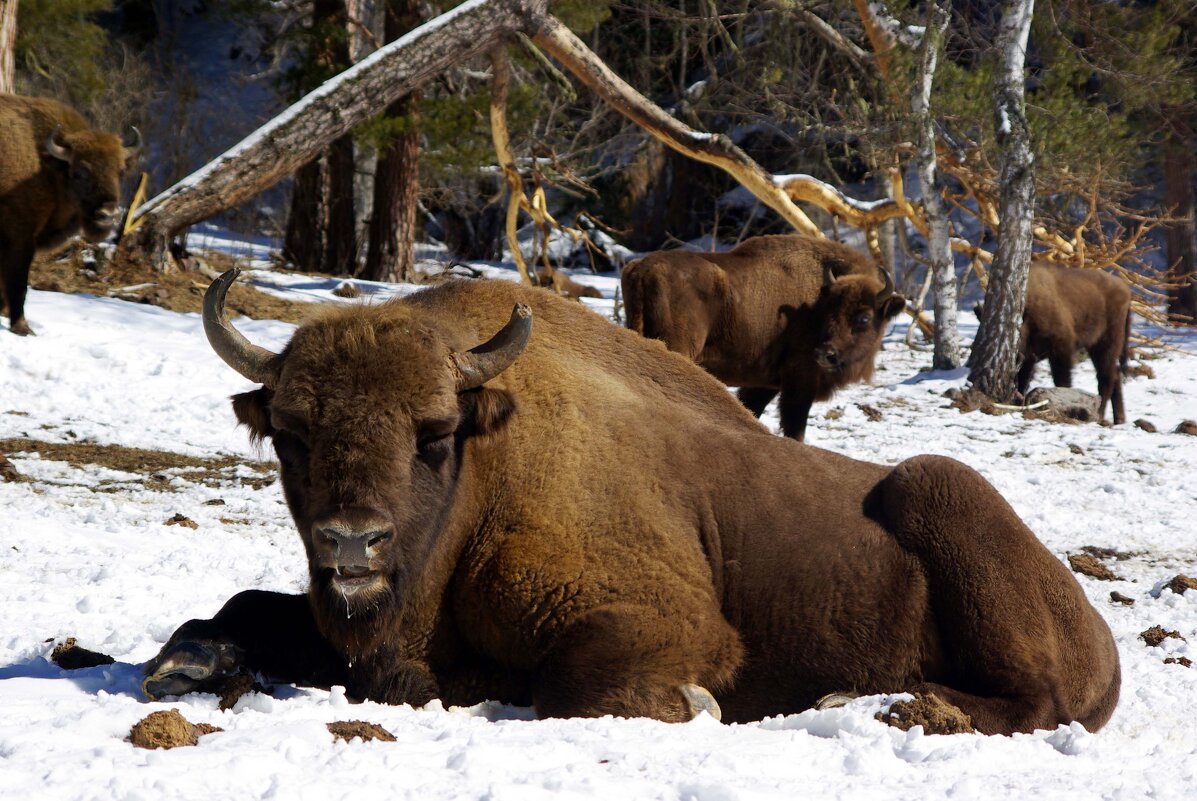 Из жизни отдыхающих ... - Андрей Любимов