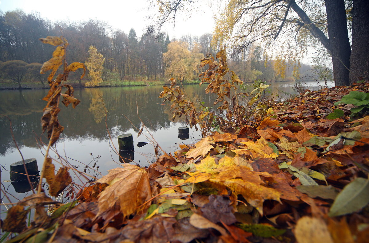 Царицыно 22 октября - Михаил Бибичков