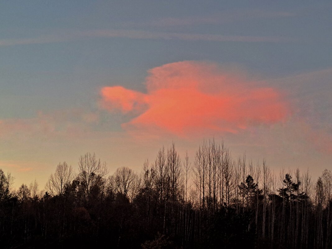 Ангел. - Юрий 