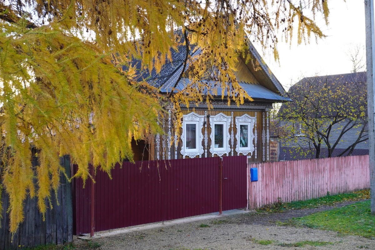 Дом с деревянной резьбой - Сергей Ц