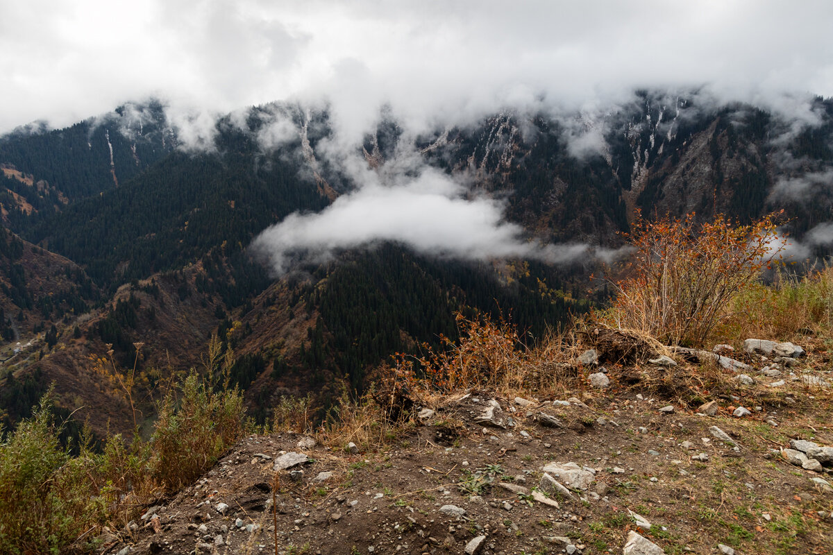 Такая осень - Алексей Большаков