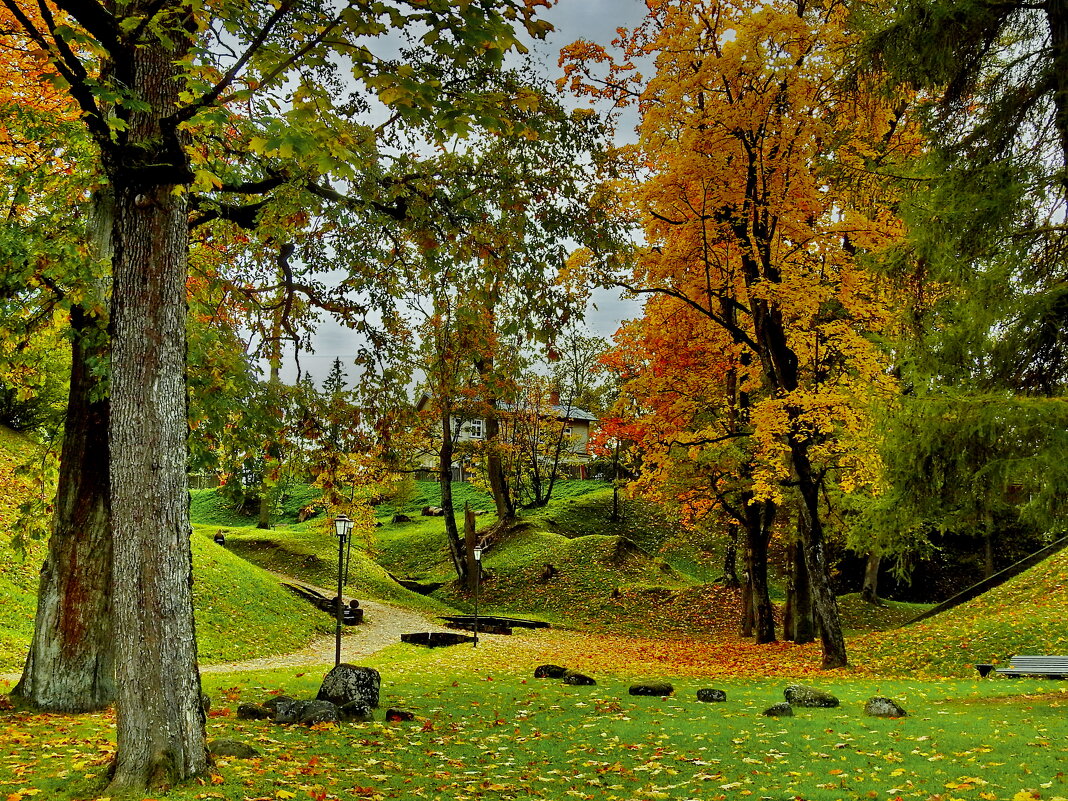 осень - ИННА ПОРОХОВА