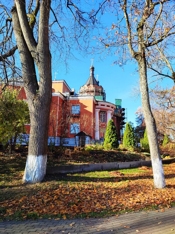 Екатерининский собор в г.Луга - Ирина 