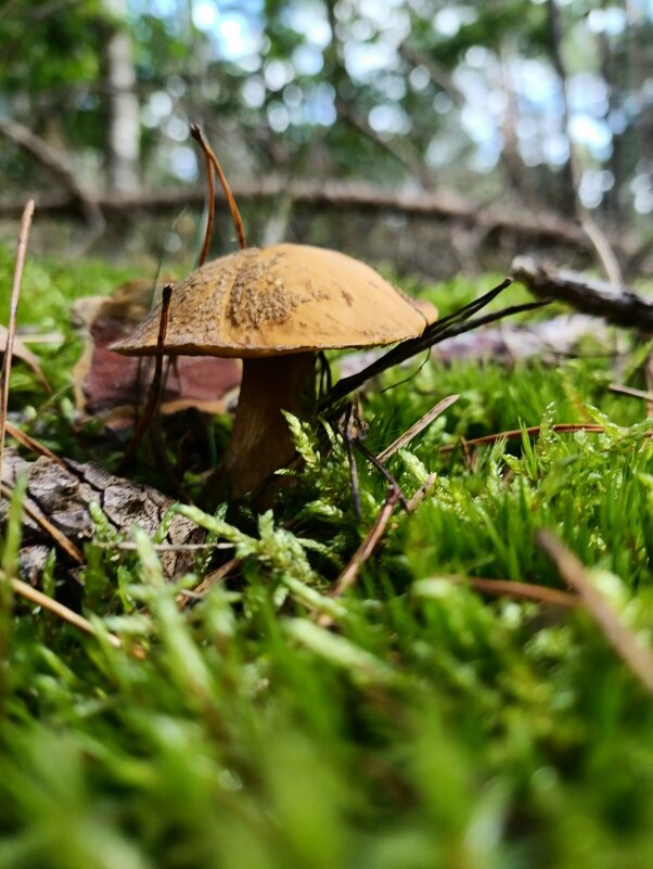 ...И поклониться такому не лень! - Людмила Жданова