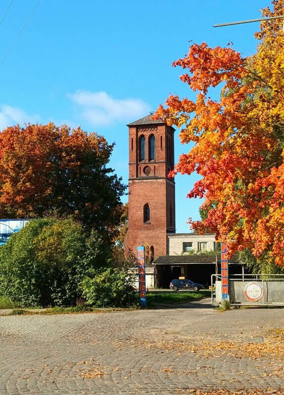 Истории былой свидетельства немые... - Людмила Жданова