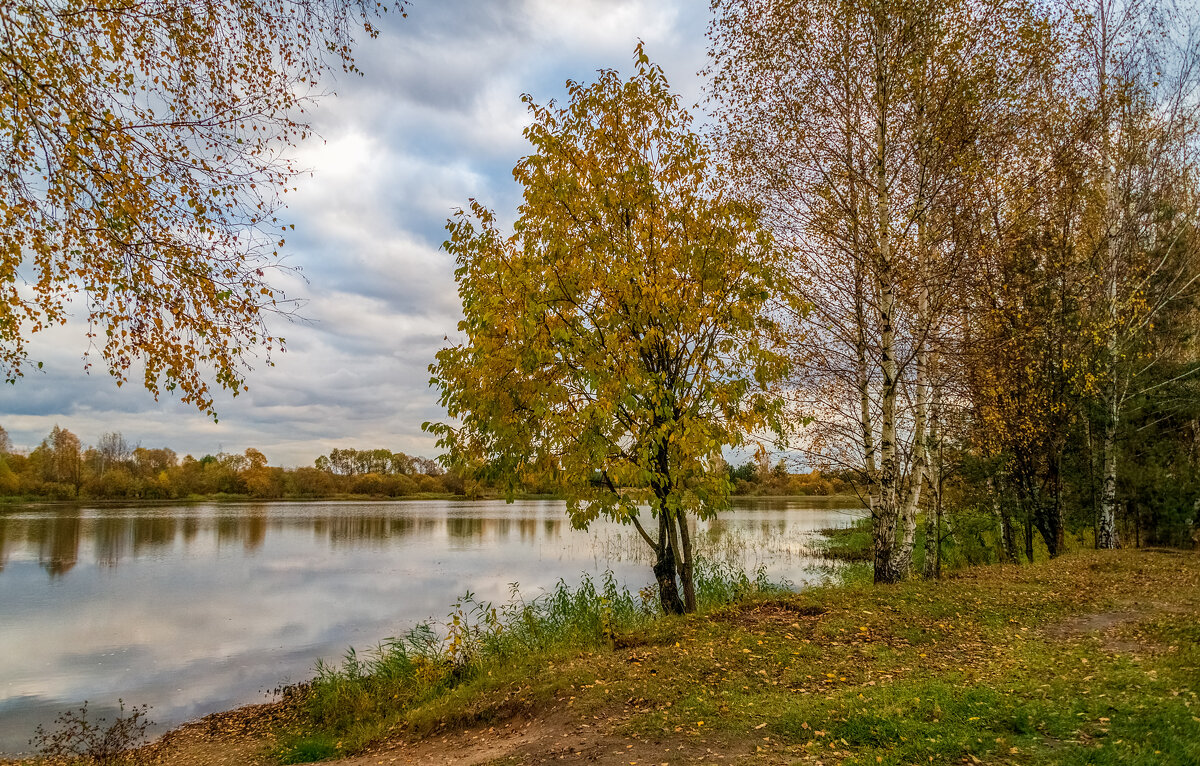 И снова Осень 7 - Андрей Дворников И снова Осень 7 - Андрей Дворников